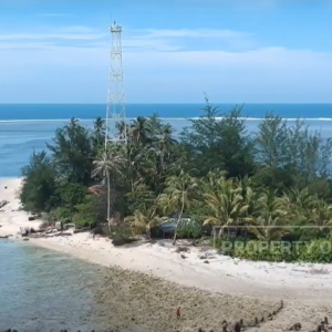 Pulau Tikus